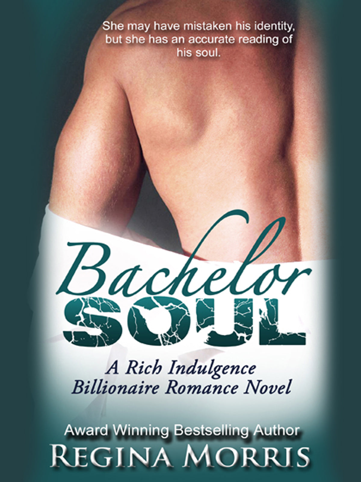 eBook: Bachelor Soul - A Rich Indulgence Romance (Book 2)