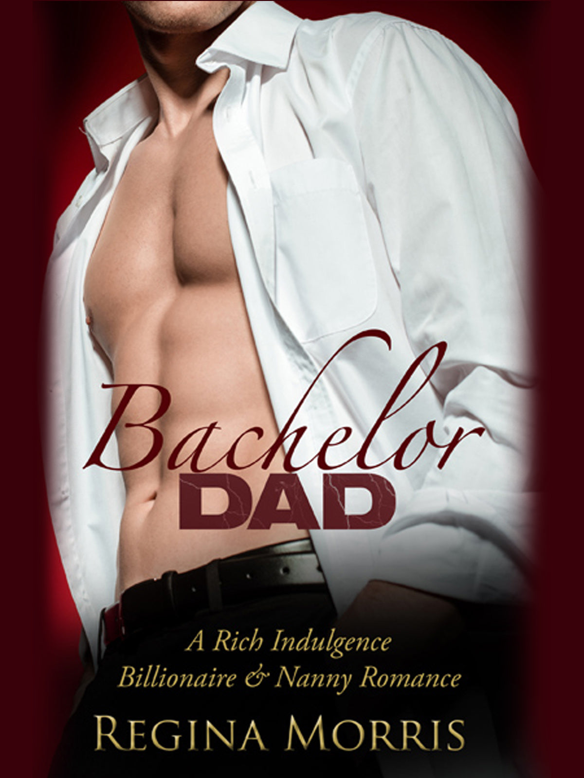 eBook: Bachelor Dad - A Rich Indulgence Romance (Book 3)